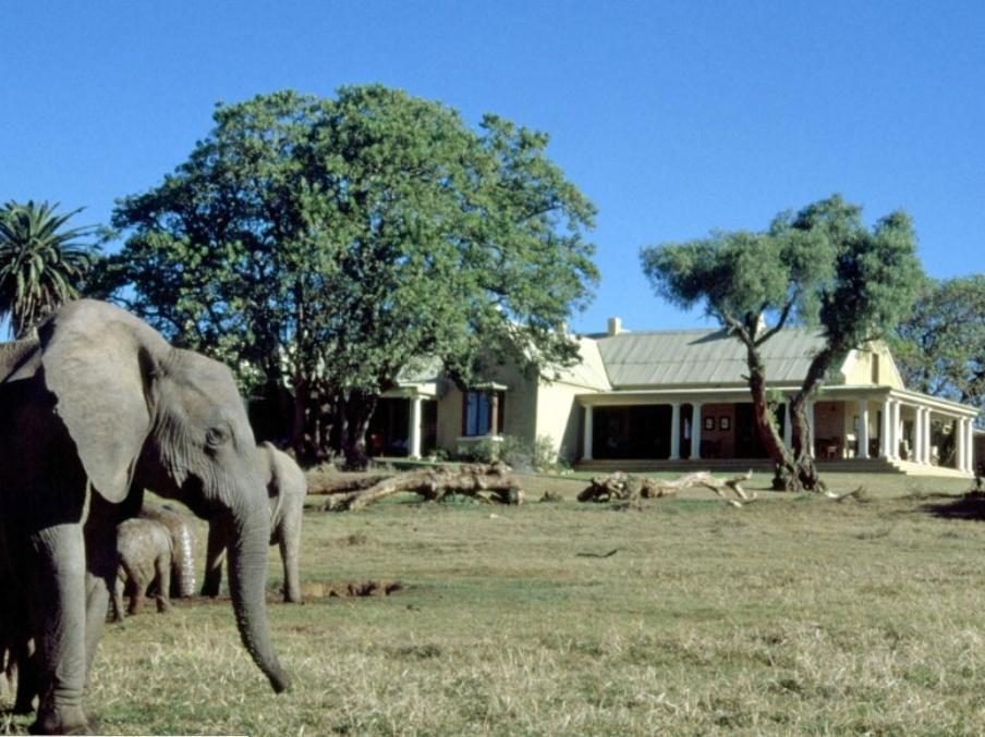 Gorah Elephant Camp アッド エクステリア 写真