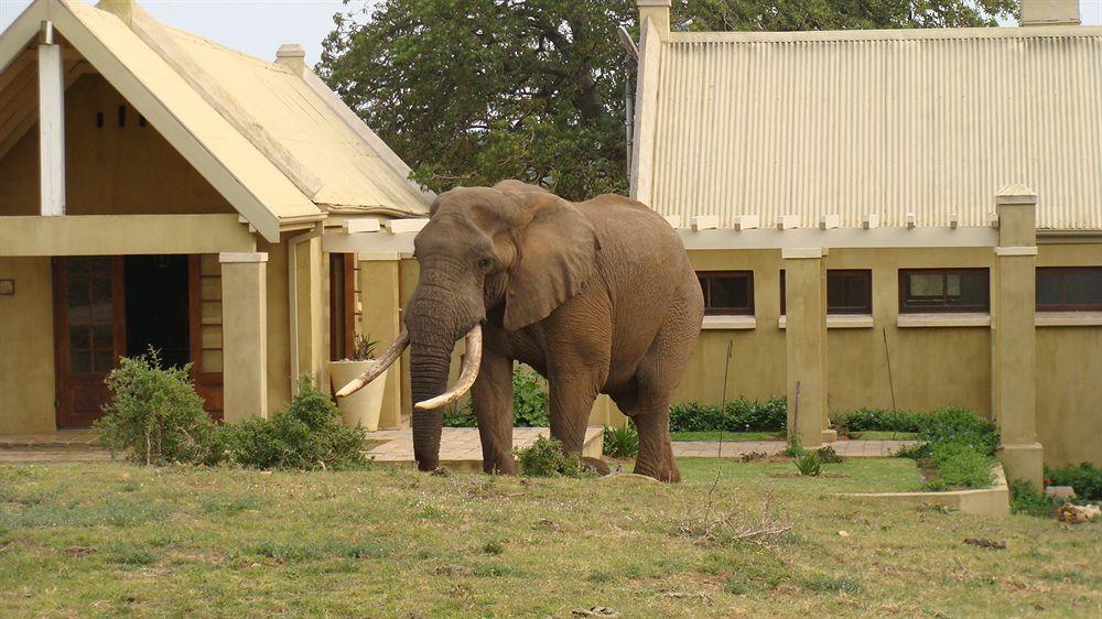 Gorah Elephant Camp アッド エクステリア 写真